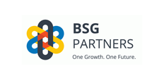 bsg-partners